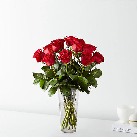 1 Dozen Red Roses Arranged-Long Stemmed