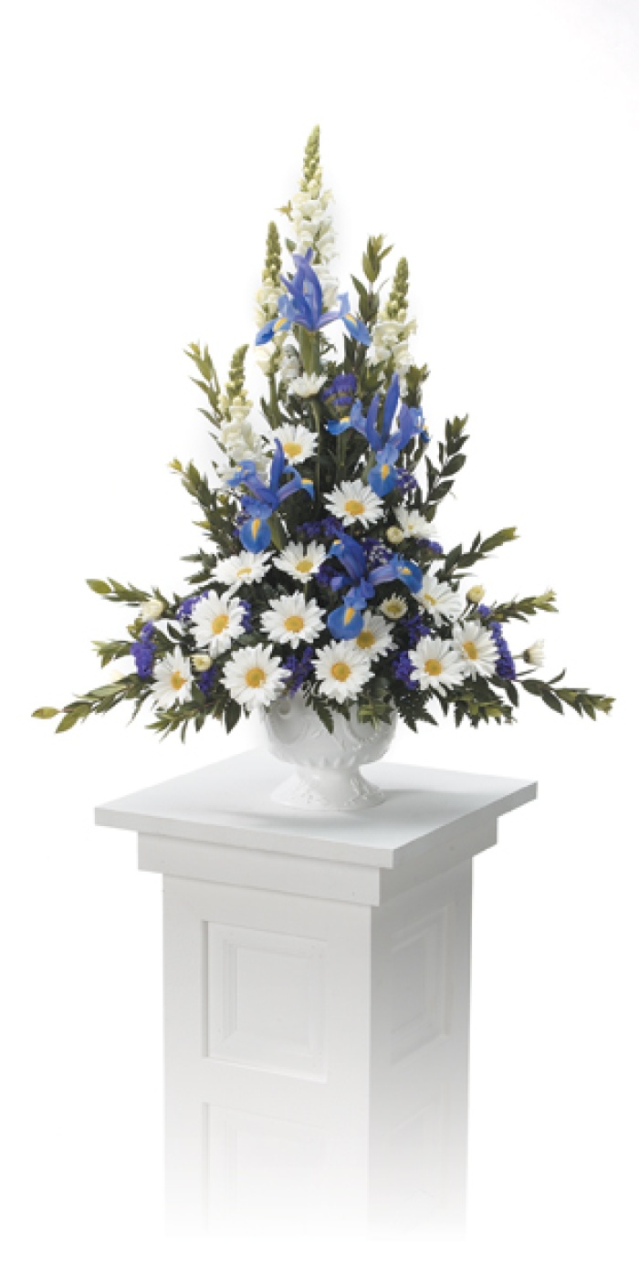 Iris Blue