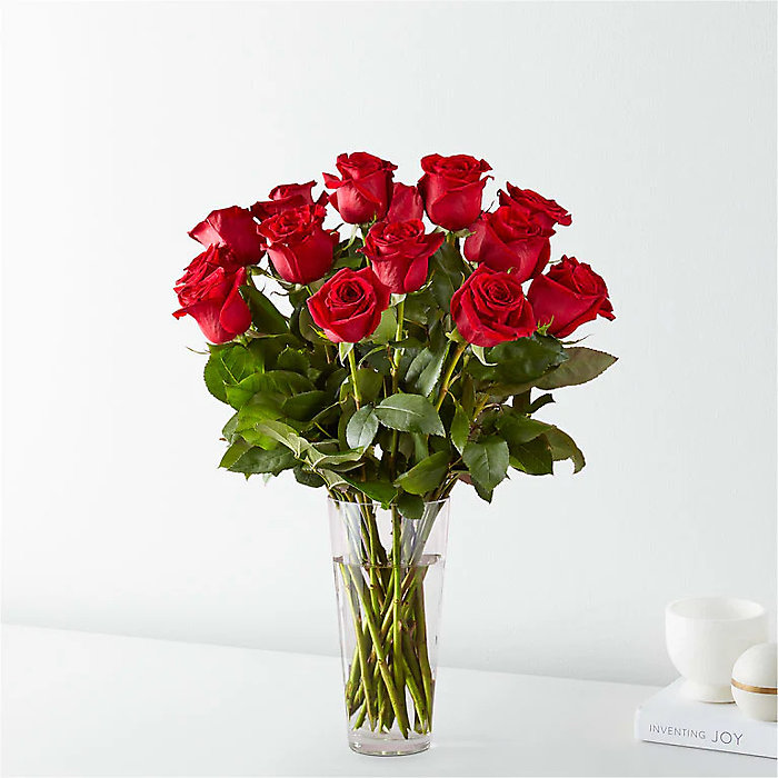 1 Dozen Red Roses Arranged-Long Stemmed