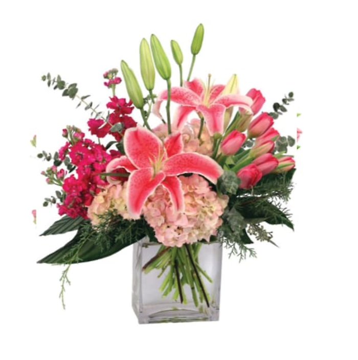 Infinite Inspiration