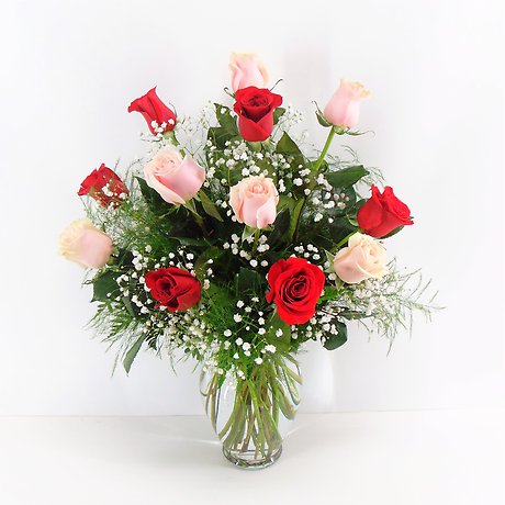 1 Dozen Pink & Red Roses Arranged-Long Stemmed