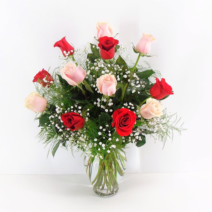 1 Dozen Pink & Red Roses Arranged-Long Stemmed