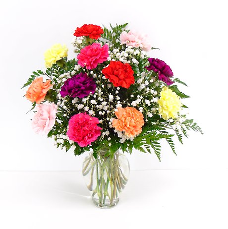 Carnation Confetti