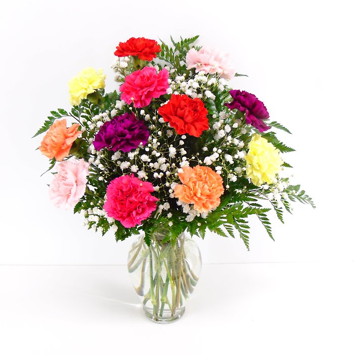 Carnation Confetti
