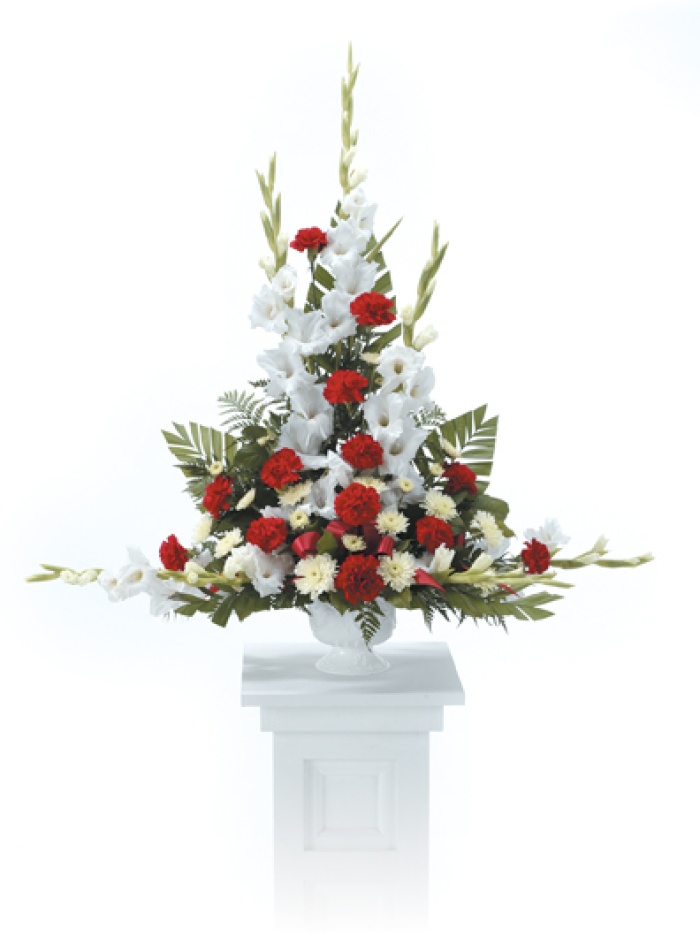 White and Red