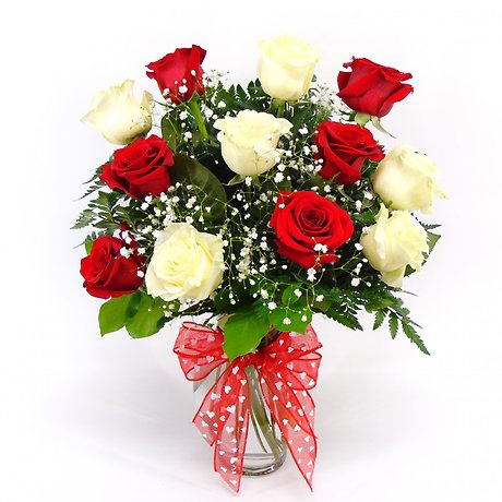 1 Dozen Red & White Roses Arranged-Long Stemmed