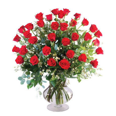 Three Dozen Red Roses Arranged-Long Stemmed