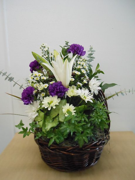 Planter of Bliss