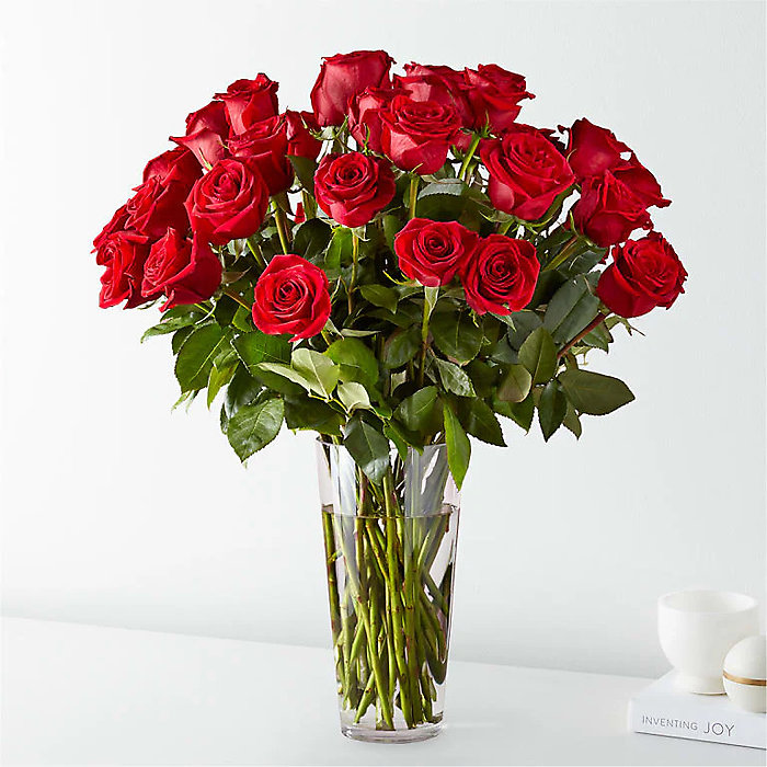 1 Dozen Red Roses Arranged-Long Stemmed