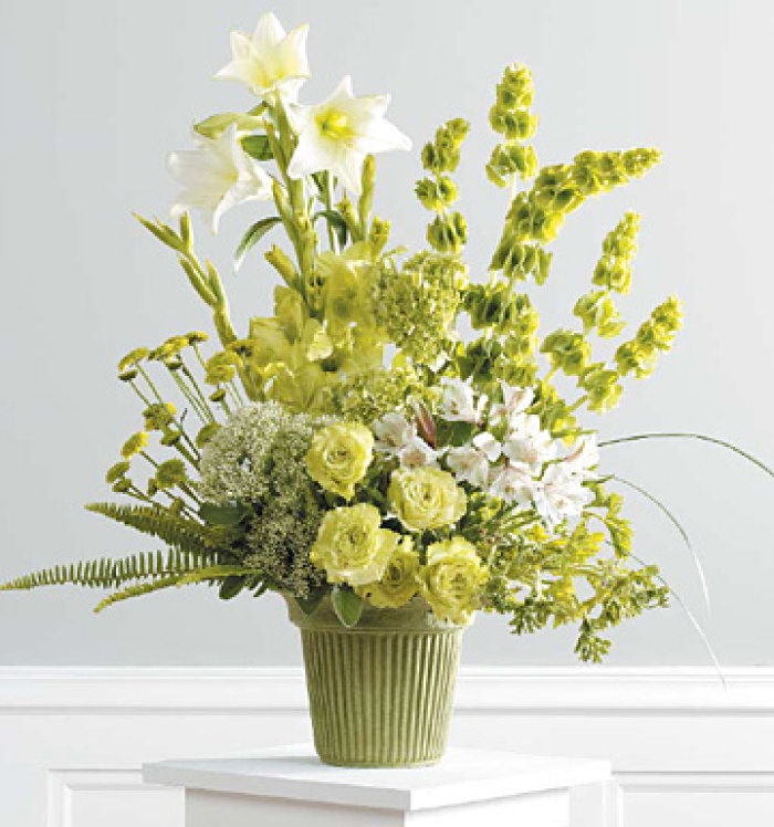 Green Sympathy