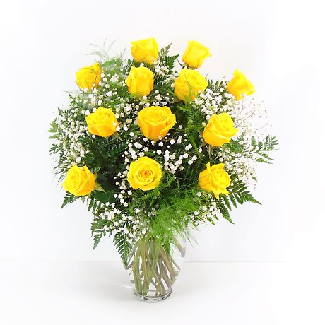 1 Dozen Yellow Roses Arranged-Long Stemmed