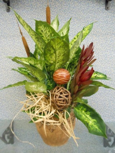 Planter Dressed up