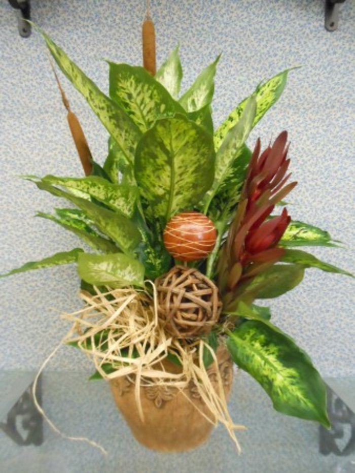 Planter Dressed up