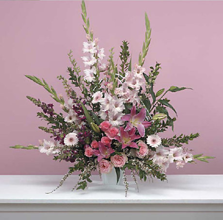 Settle pink